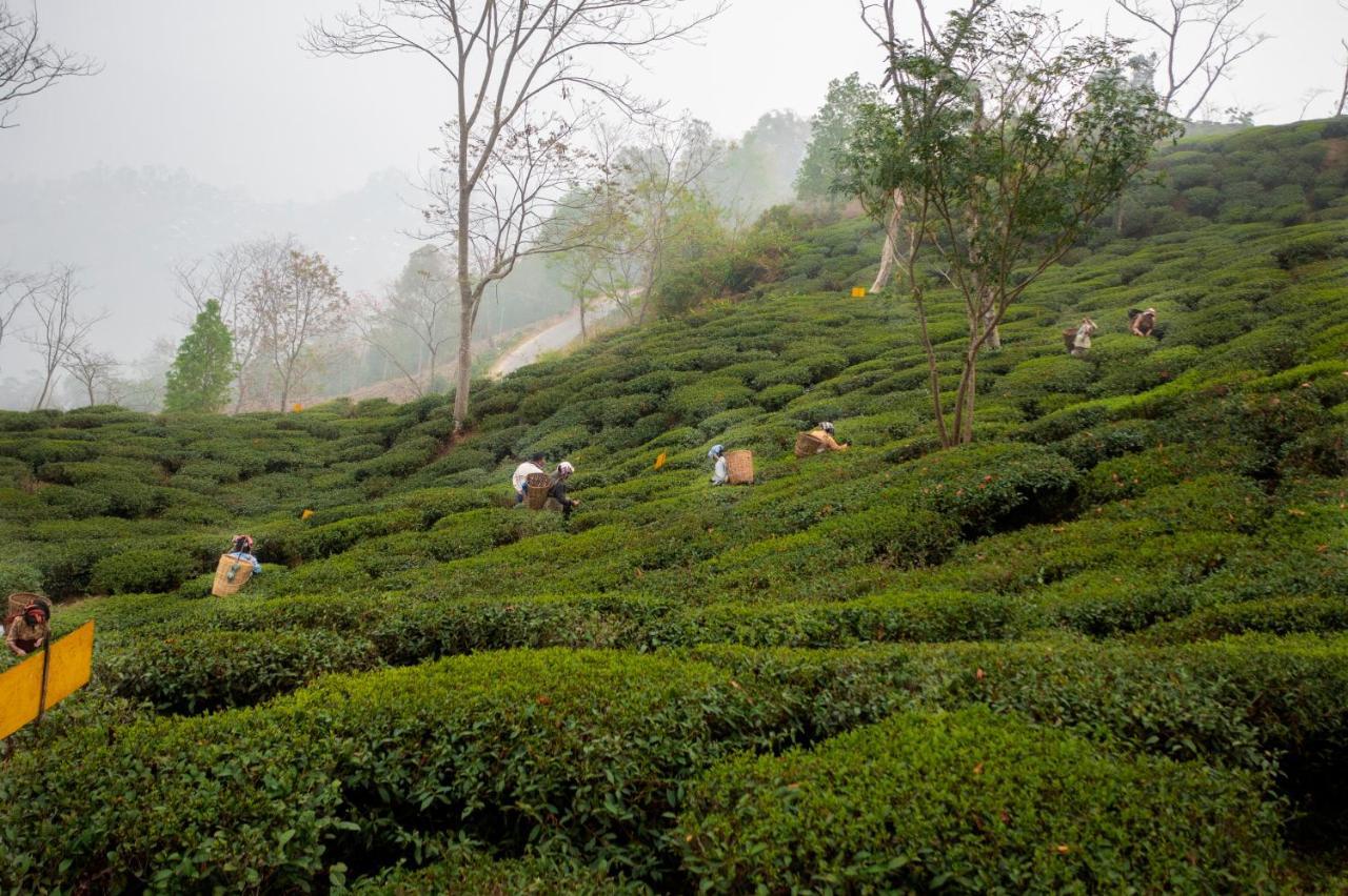 Ama Stays & Trails Puttabong Cottage, Darjeeling Dardżyling Zewnętrze zdjęcie